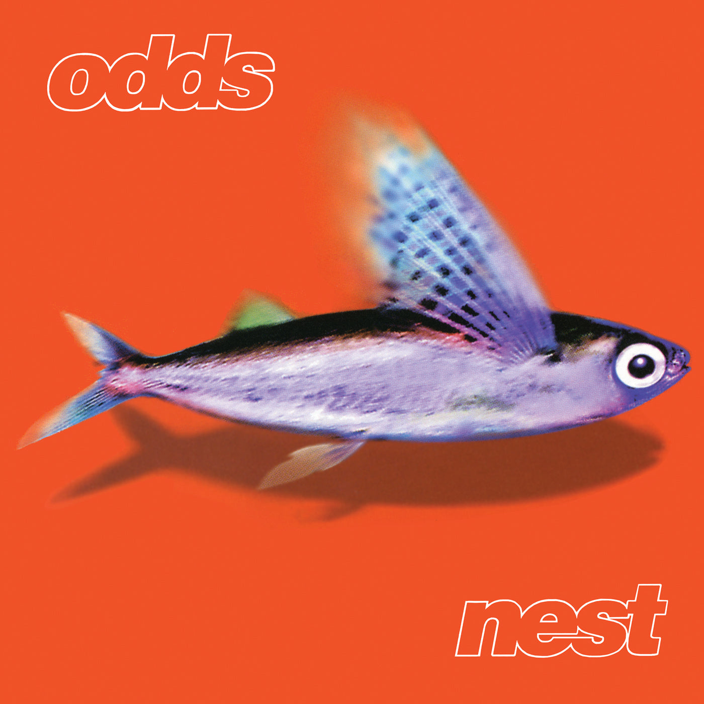 Odds - Nest