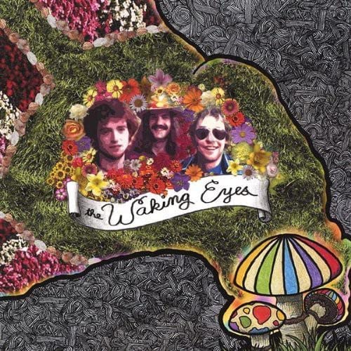 The Waking Eyes - Combing The Clouds